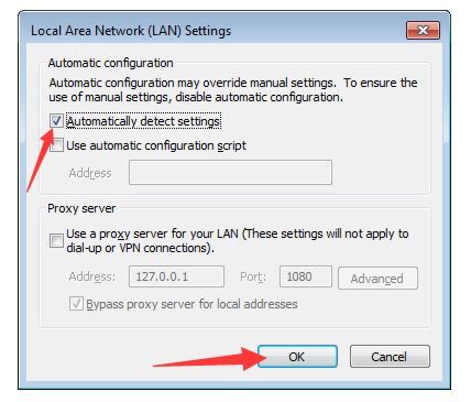 Internet Options - LAN Settings